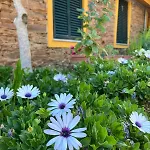 Quinta De Canelas * トーレ・デ・モンコルヴォ