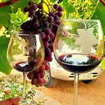 Quinta De Canelas * トーレ・デ・モンコルヴォ