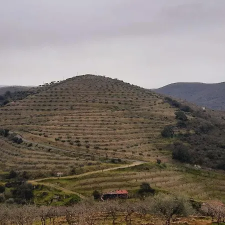 Holiday park Quinta De Canelas
